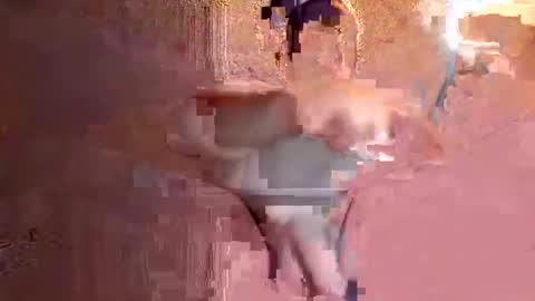 Snapshot of juan575390 chatting on December 2024 01:07:02 AM juan575390 online show from December 2024 01:07:02 AM