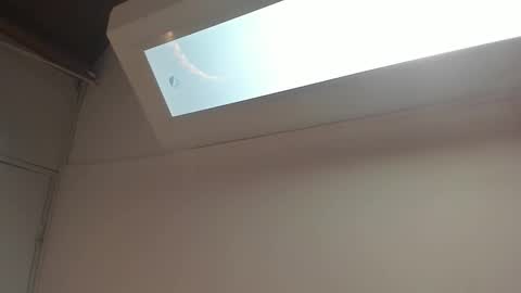 Juana online show from March 2026 11:16:02 AM