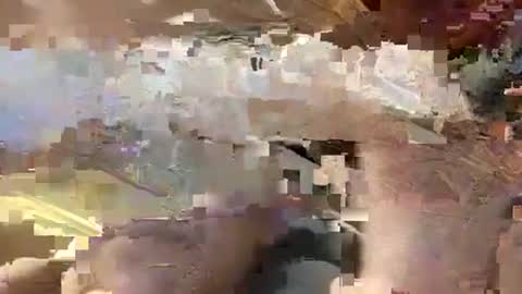 Carlos online show from December 2024 12:46:02 AM