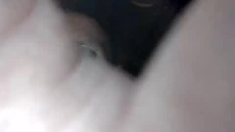 Carlos online show from January 2025 08:13:02 AM