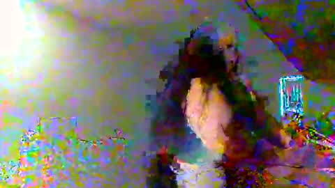 juicylatinabbw online show from February 2026 04:07:02 PM