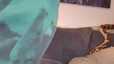 Snapshot of julia_official chatting on November 2025 05:02:02 PM julia_official online show from November 2025 05:02:02 PM