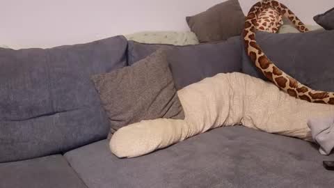 Snapshot of julia_official chatting on November 2025 10:21:01 PM julia_official online show from November 2025 10:21:01 PM