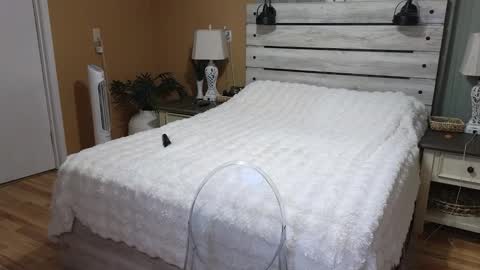 Texas Mamasita online show from March 2026 03:30:01 PM