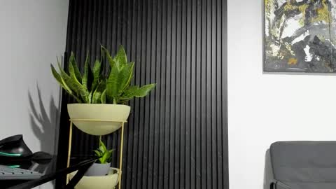 Julian online show from February 2026 12:06:01 AM