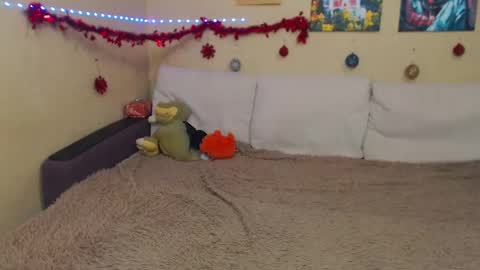 Jul online show from December 2024 04:51:01 PM