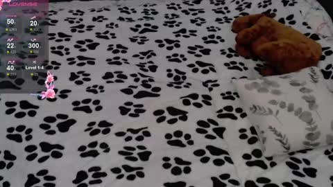 julieqt online show from February 2025 06:21:01 AM