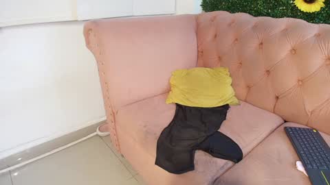 Juli online show from December 2024 12:04:02 AM