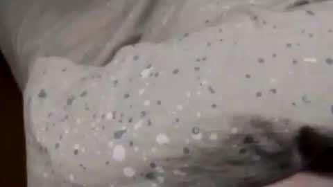 Snapshot of jumezee chatting on January 2025 02:36:02 PM Asian office boy online show from January 2025 02:36:02 PM