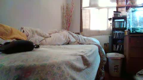 Snapshot of jumpingflash chatting on December 2024 04:20:01 PM jumpingflash online show from December 2024 04:20:01 PM