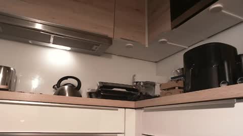 Gregor online show from December 2024 09:20:02 AM