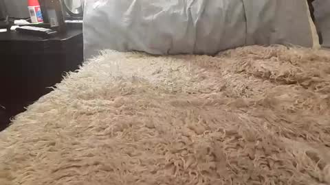 Jusme6269 online show from January 2025 01:00:02 AM