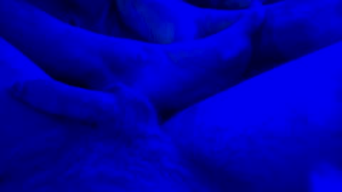 Yuri online show from January 2025 07:59:01 AM