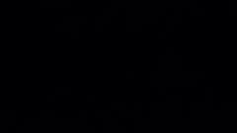 Yuri online show from February 2025 05:29:02 AM