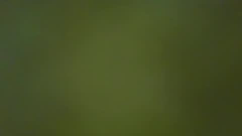 McKeefer online show from January 2025 05:10:01 PM