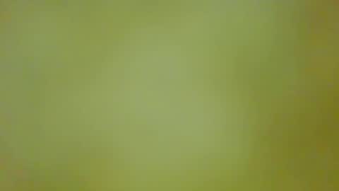 McKeefer online show from September 2025 05:46:01 PM