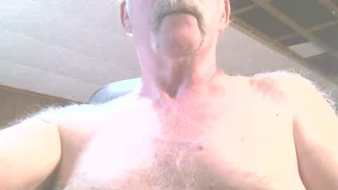 Snapshot of justdon chatting on June 2026 02:41:02 PM justdon online show from June 2026 02:41:02 PM