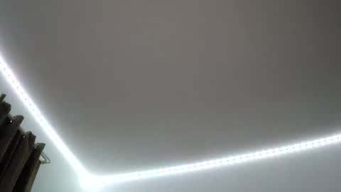 justsetfree online show from November 2025 09:34:01 AM