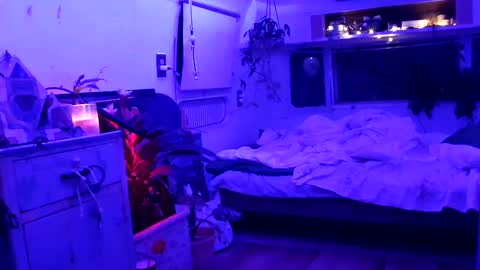 jwolf11851725 online show from September 2025 08:05:01 AM