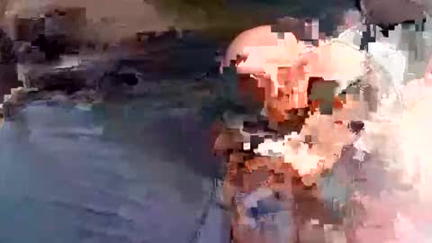 jxj20231 online show from May 2026 09:41:01 PM