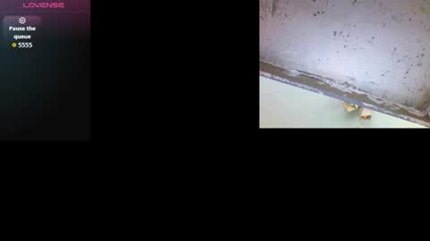 k36620146 online show from March 2026 09:48:01 AM