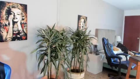 Snapshot of kai_storn chatting on April 2026 05:30:01 PM kai_storn online show from April 2026 05:30:01 PM