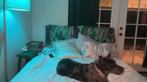 Kailee Smile online show from February 2026 05:00:02 AM