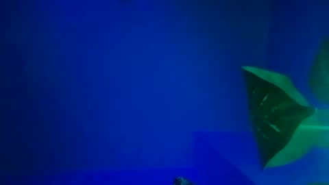 Karla Gonzaless online show from November 2025 06:44:01 AM