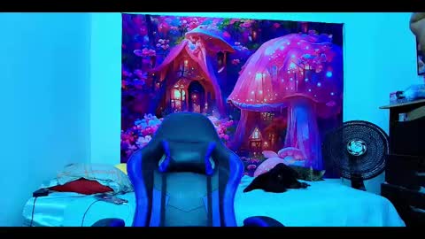    online show from October 2025 10:27:02 AM