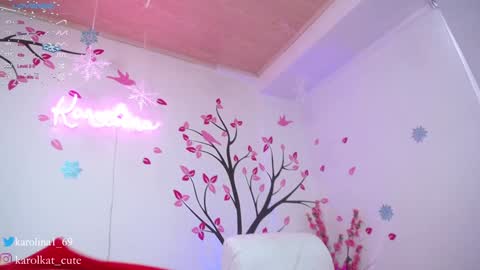 Snapshot of karolkat_1 chatting on December 2024 05:26:02 PM Karolina 3 online show from December 2024 05:26:02 PM