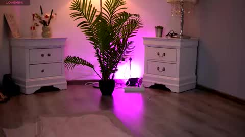 Kassidy online show from February 2026 11:04:01 AM