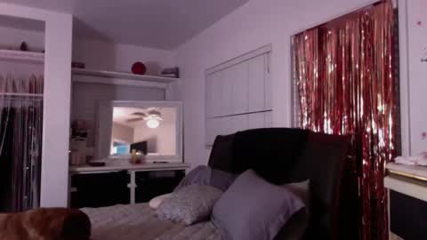Snapshot of katbrake chatting on October 2025 07:38:01 AM sexykat online show from October 2025 07:38:01 AM