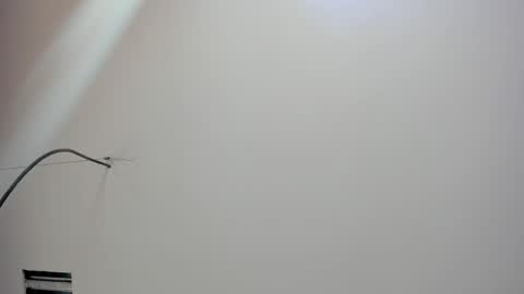 Kate  online show from February 2026 12:01:02 PM