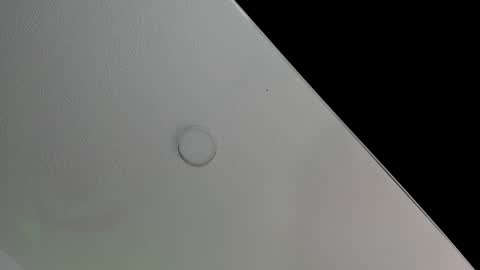 love meeee online show from February 2025 02:27:01 PM