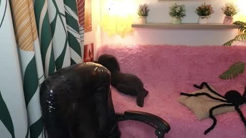 kathie_lozada online show from October 2025 06:03:02 AM