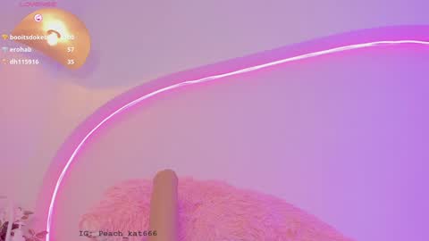 Katy  IGPeach kat666 online show from December 2024 04:25:02 PM