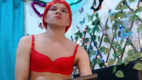 katsuki_lin online show from January 2026 03:31:01 AM