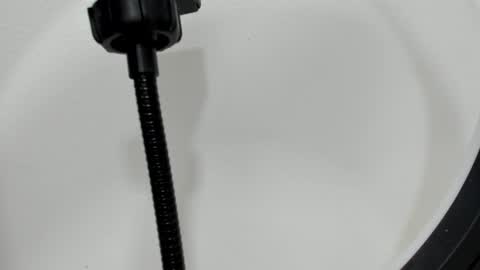 katy blonde girl and paola big boobs online show from September 2025 07:29:01 PM