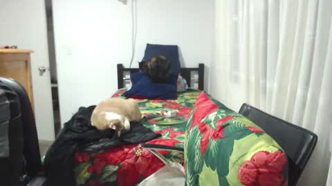  Khawit  online show from January 2026 12:01:02 AM