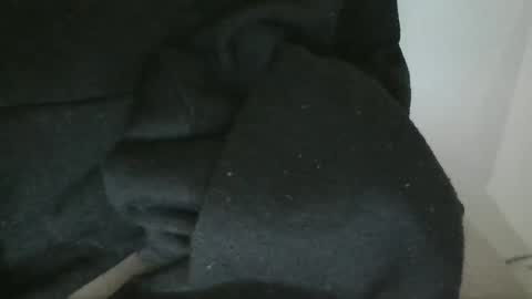 kaylee kakes online show from September 2025 03:46:02 PM