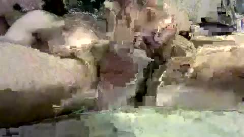 kazzarsouth online show from March 2025 02:12:01 PM