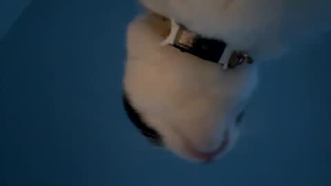 keepquietj online show from January 2025 12:25:02 AM