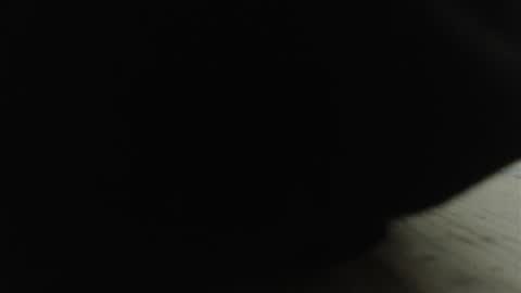 keitt online show from September 2025 01:49:02 AM