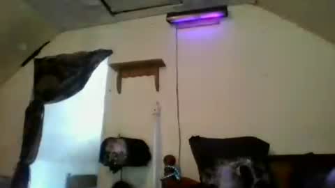 kelly7548 online show from June 2026 08:15:01 PM