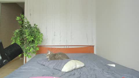 kelly_gerzikaaa online show from April 2026 04:46:01 AM