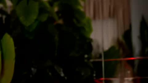 Denise online show from March 2026 02:22:01 AM