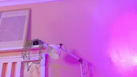   online show from February 2026 09:04:02 AM