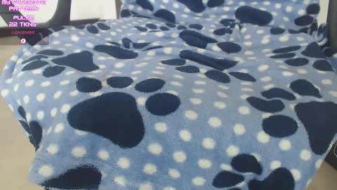 Kevin online show from November 2025 03:49:01 PM