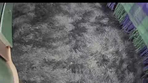 Keyla online show from April 2026 04:22:02 PM