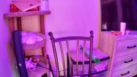 KevKev online show from April 2026 11:16:01 AM